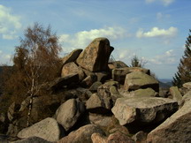Gesteinsformation im Harz